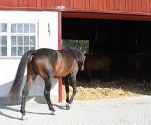 Hage och Ligghall